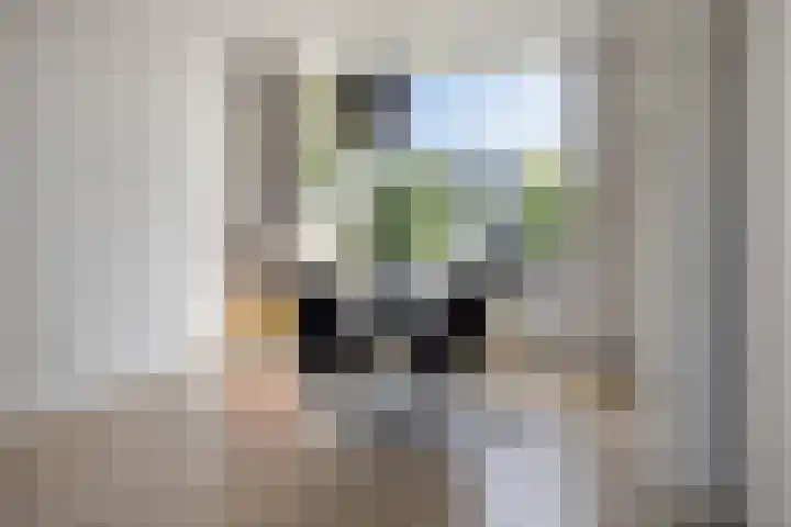 van Oss-straat 19 Kampen thumbnail 11