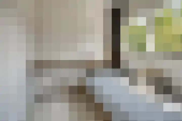 van Oss-straat 19 Kampen thumbnail 26