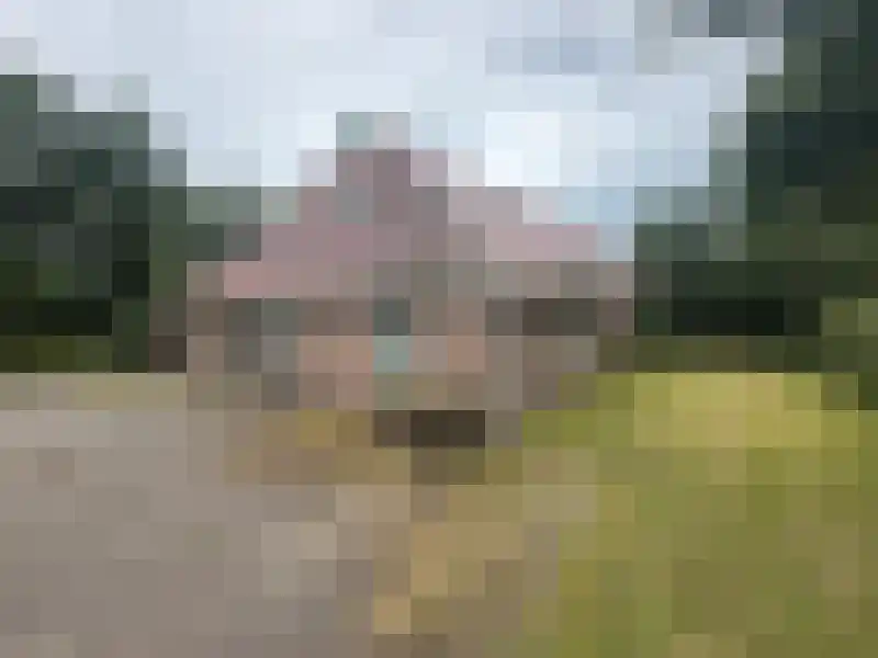 Van Osstraat 2 Diever thumbnail 5