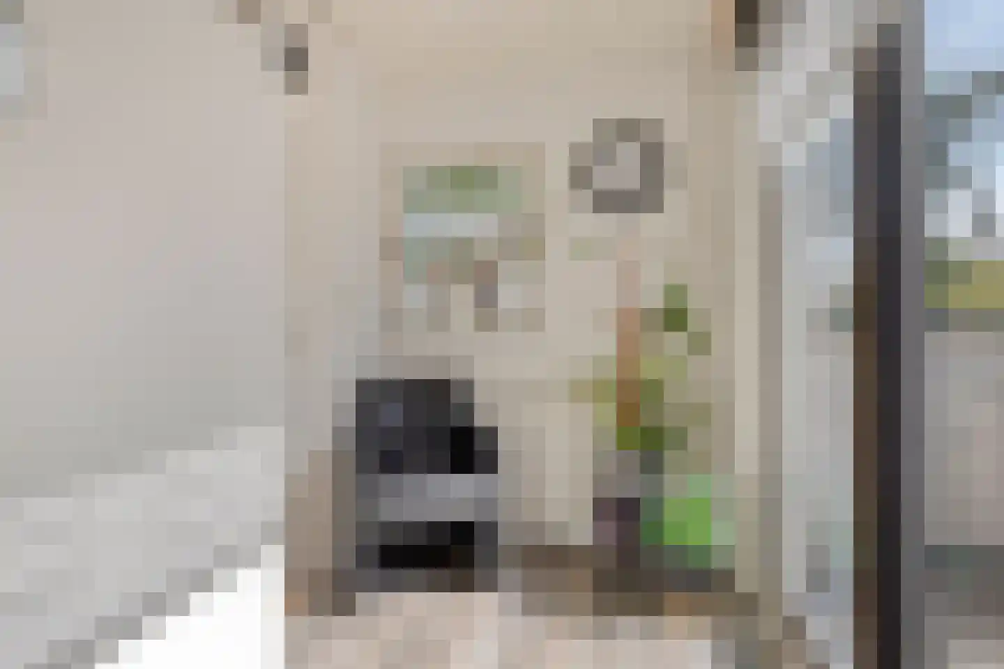 van Ostade 1 Monster thumbnail 19
