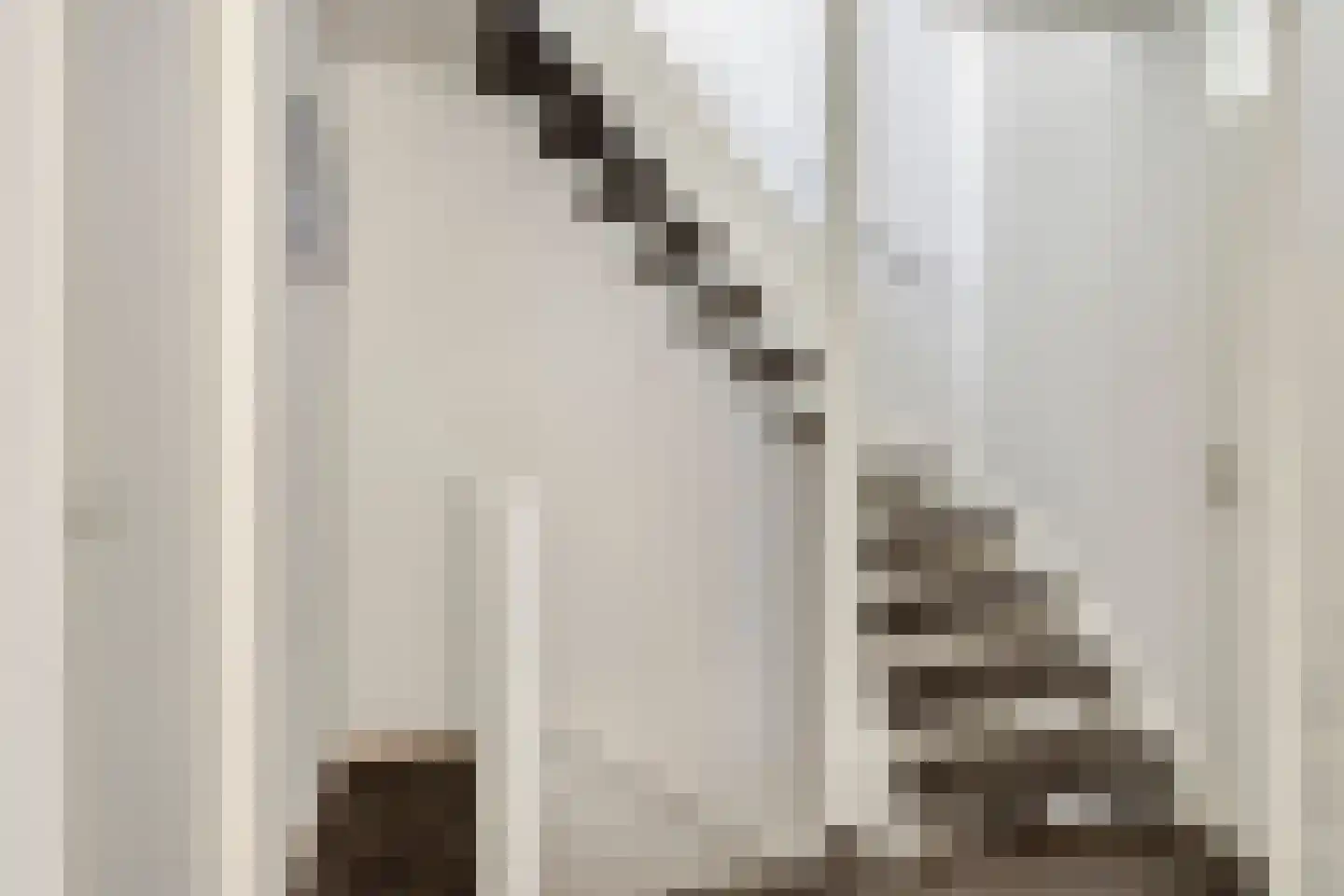 van Ostade 1 Monster thumbnail 20