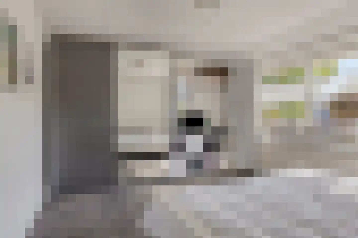 van Ostade 1 Monster thumbnail 22