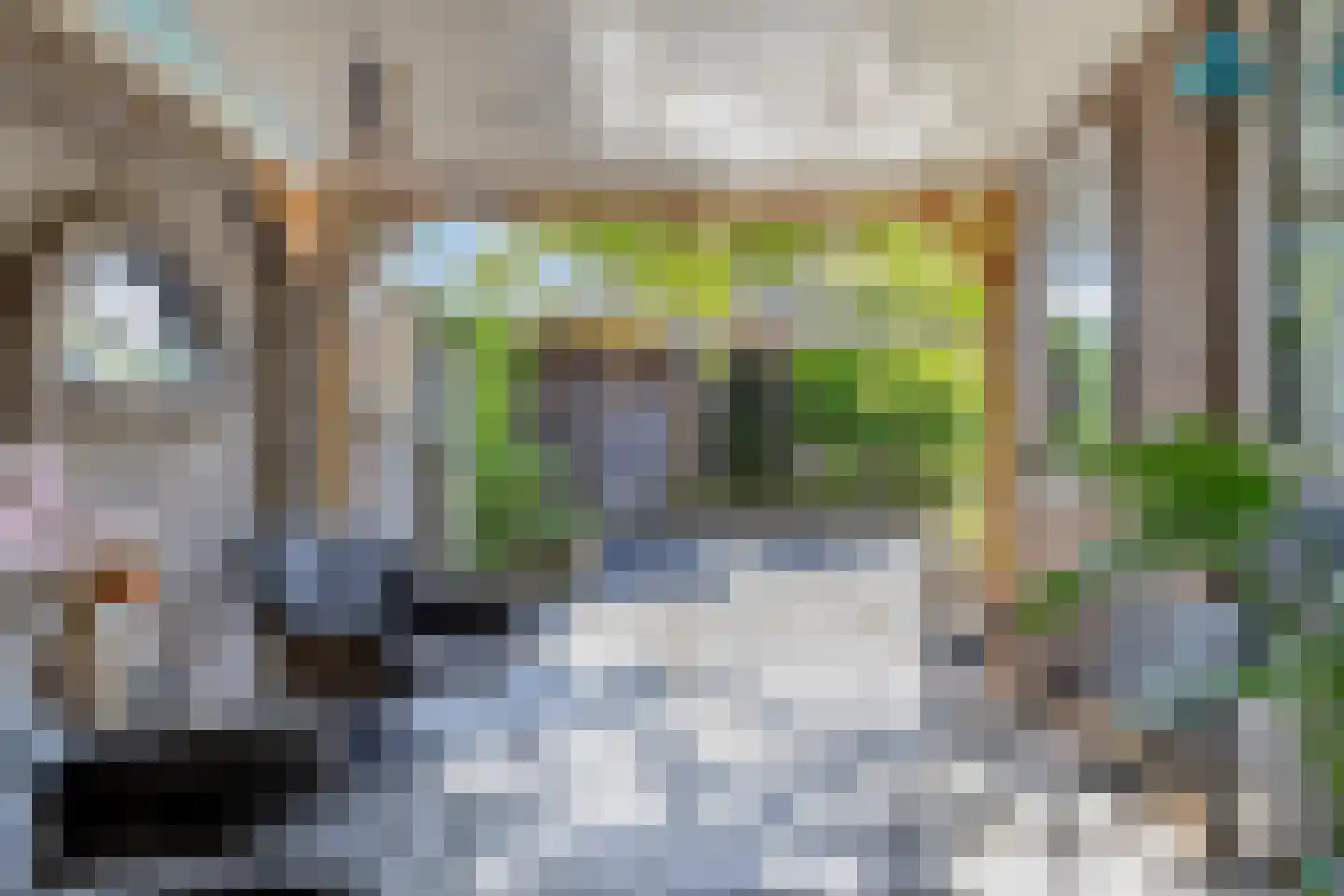 van Ostade 1 Monster thumbnail 33