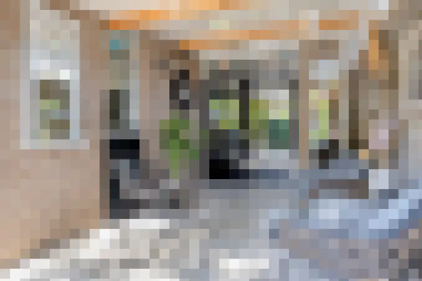 van Ostade 1 Monster thumbnail 34