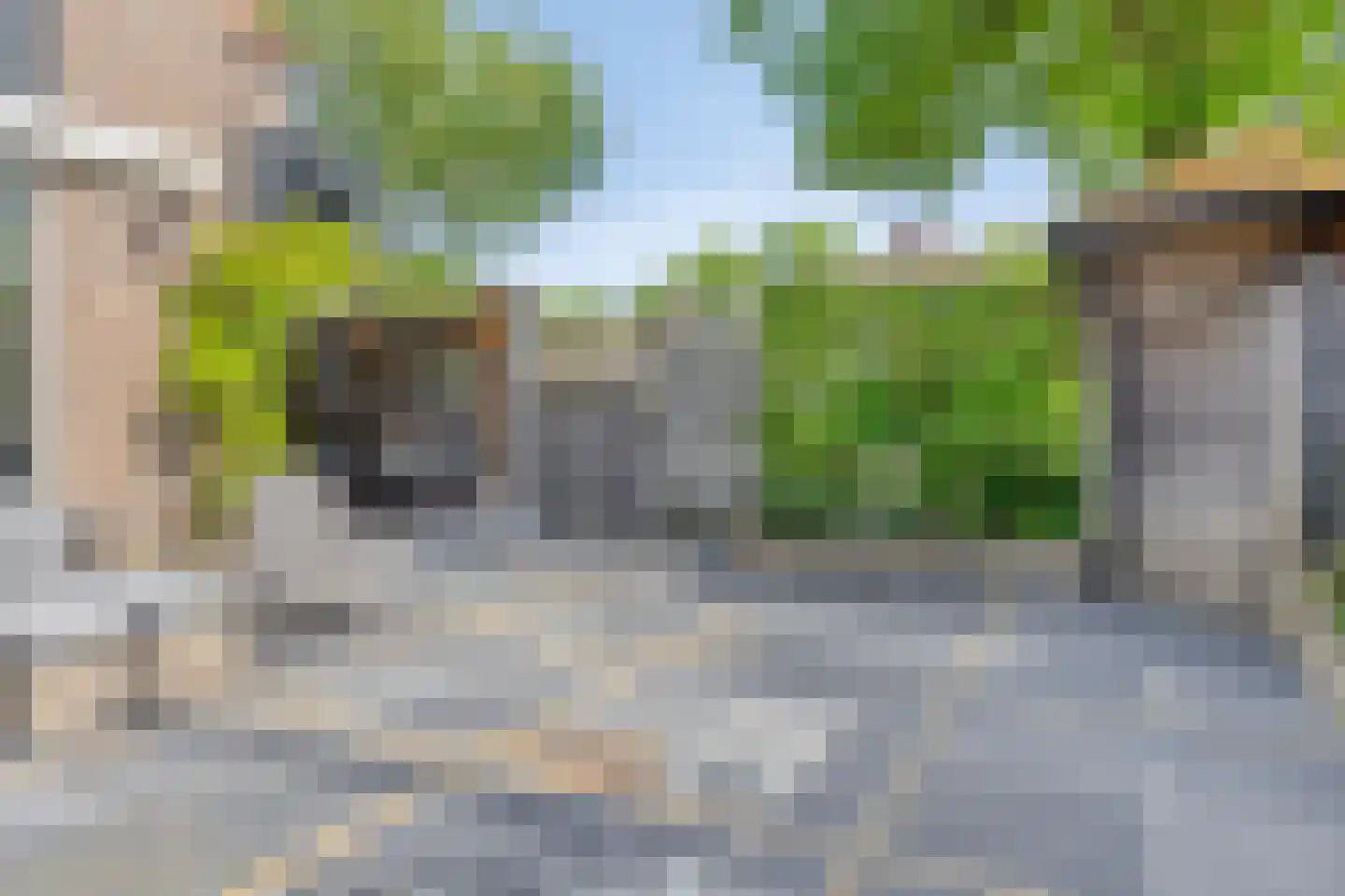 van Ostade 1 Monster thumbnail 39