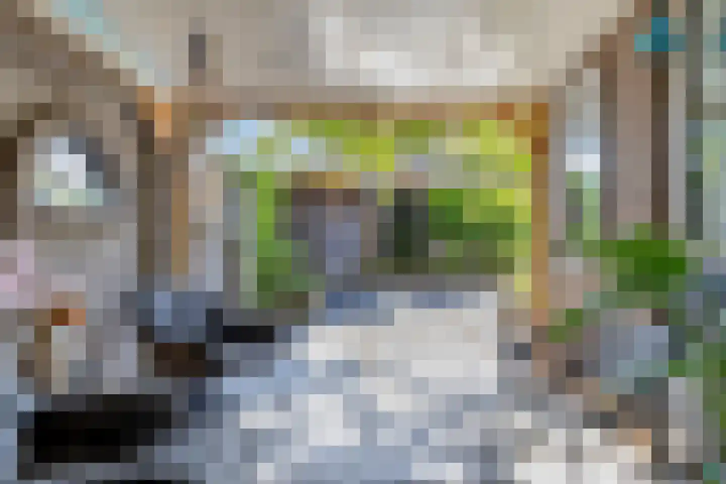van Ostade 1 Monster thumbnail 4