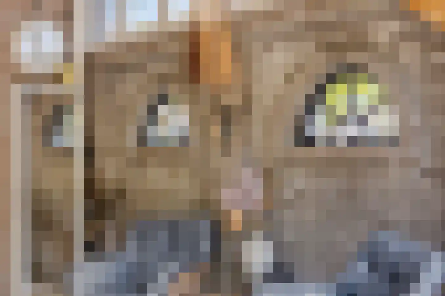 van Ostade 1 Monster thumbnail 40