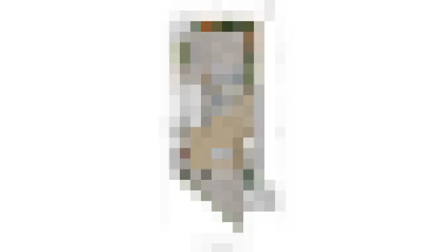 van Ostade 1 Monster thumbnail 45
