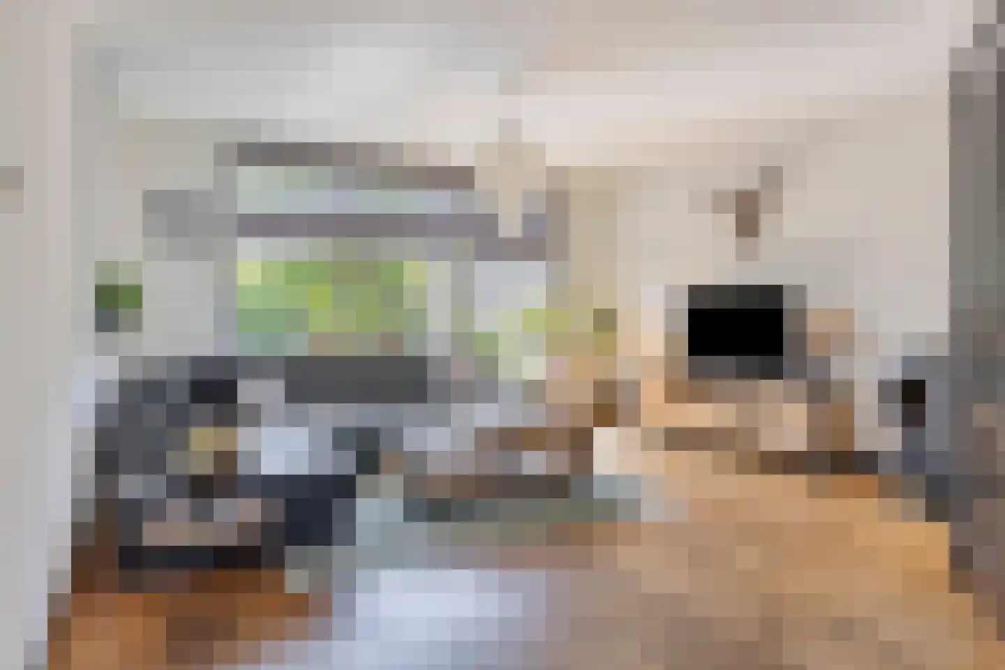 van Ostade 1 Monster thumbnail 7