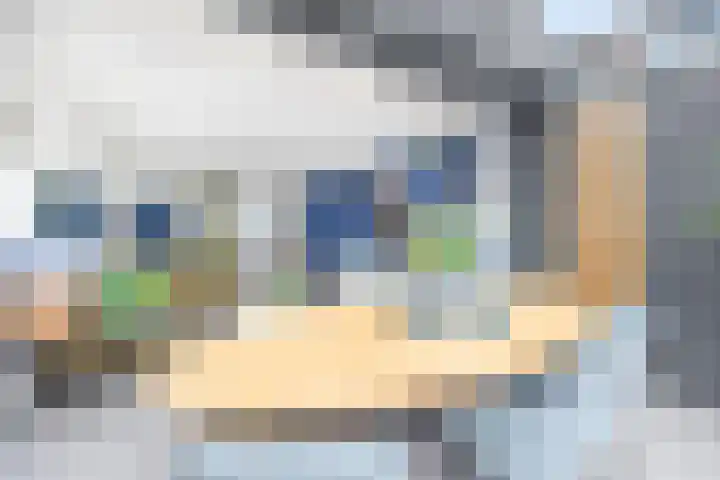 van Ostade 13 Monster thumbnail 10