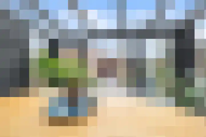 van Ostade 13 Monster thumbnail 12
