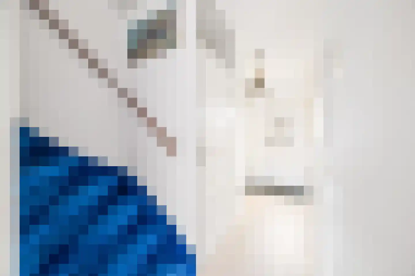 van Ostade 13 Monster thumbnail 12