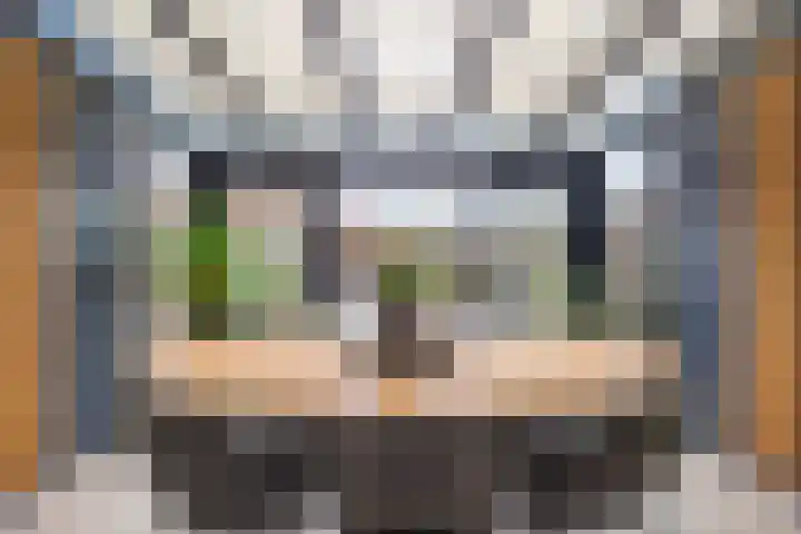 van Ostade 13 Monster thumbnail 13