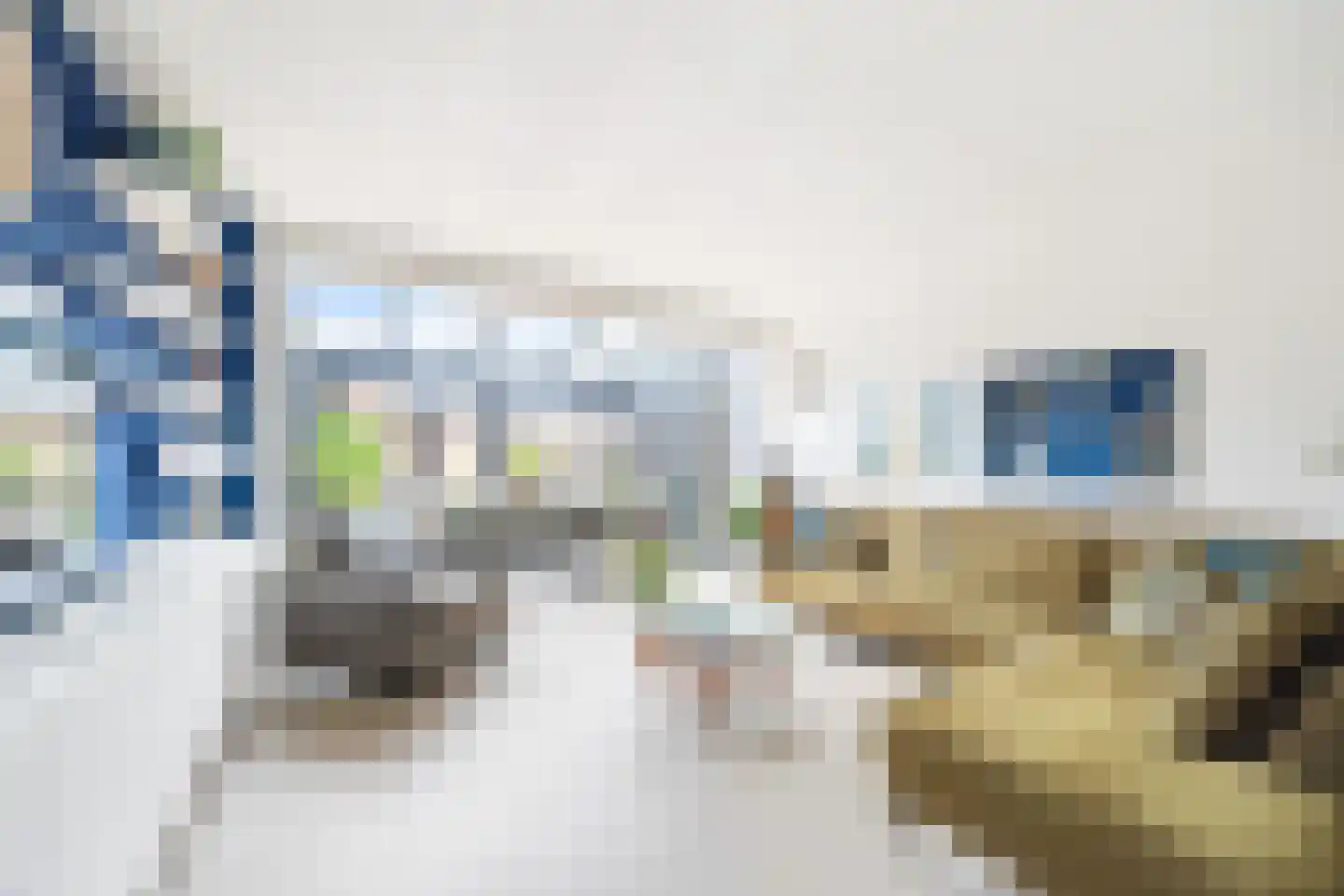 van Ostade 13 Monster thumbnail 14