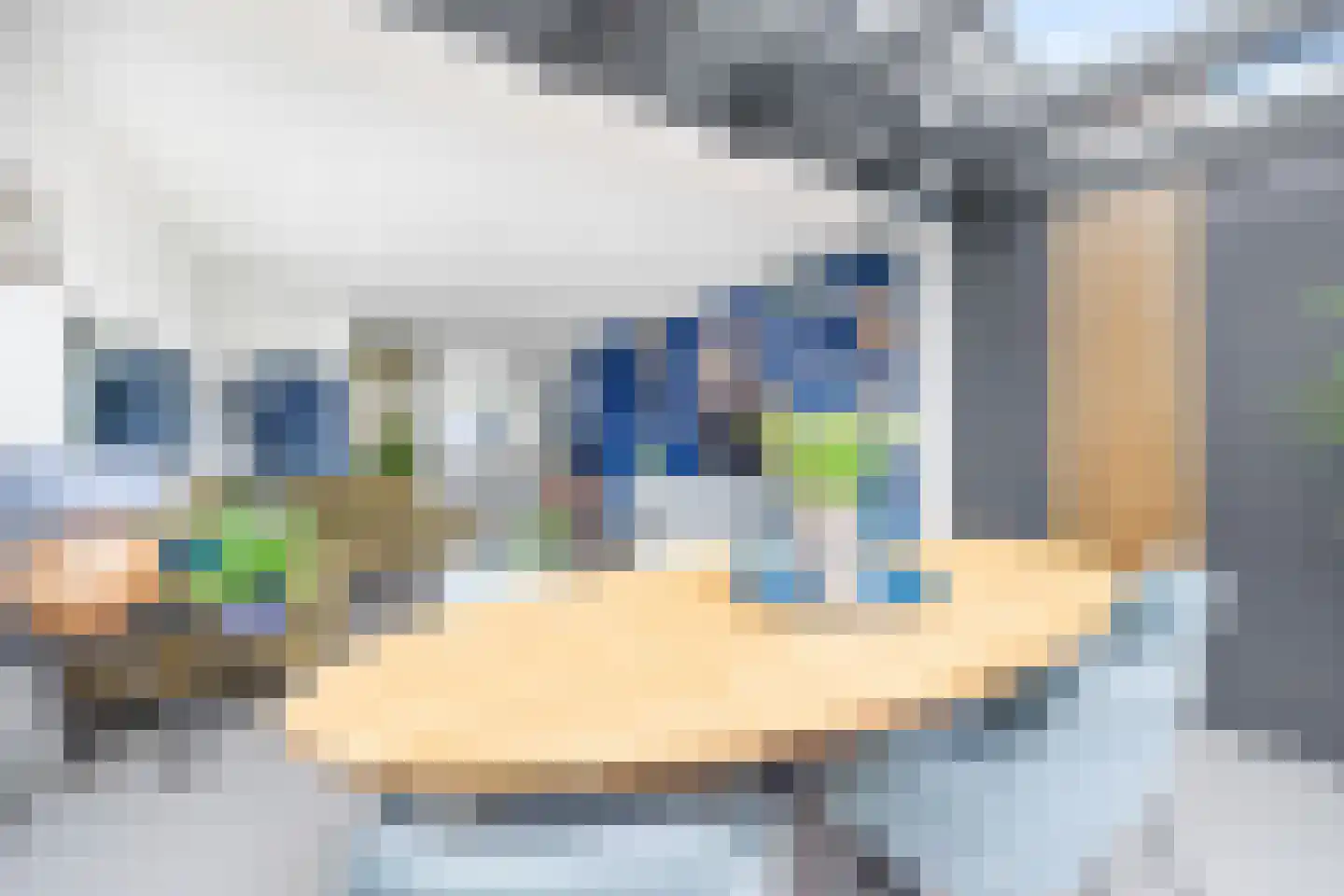 van Ostade 13 Monster thumbnail 15