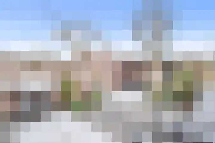 van Ostade 13 Monster thumbnail 16