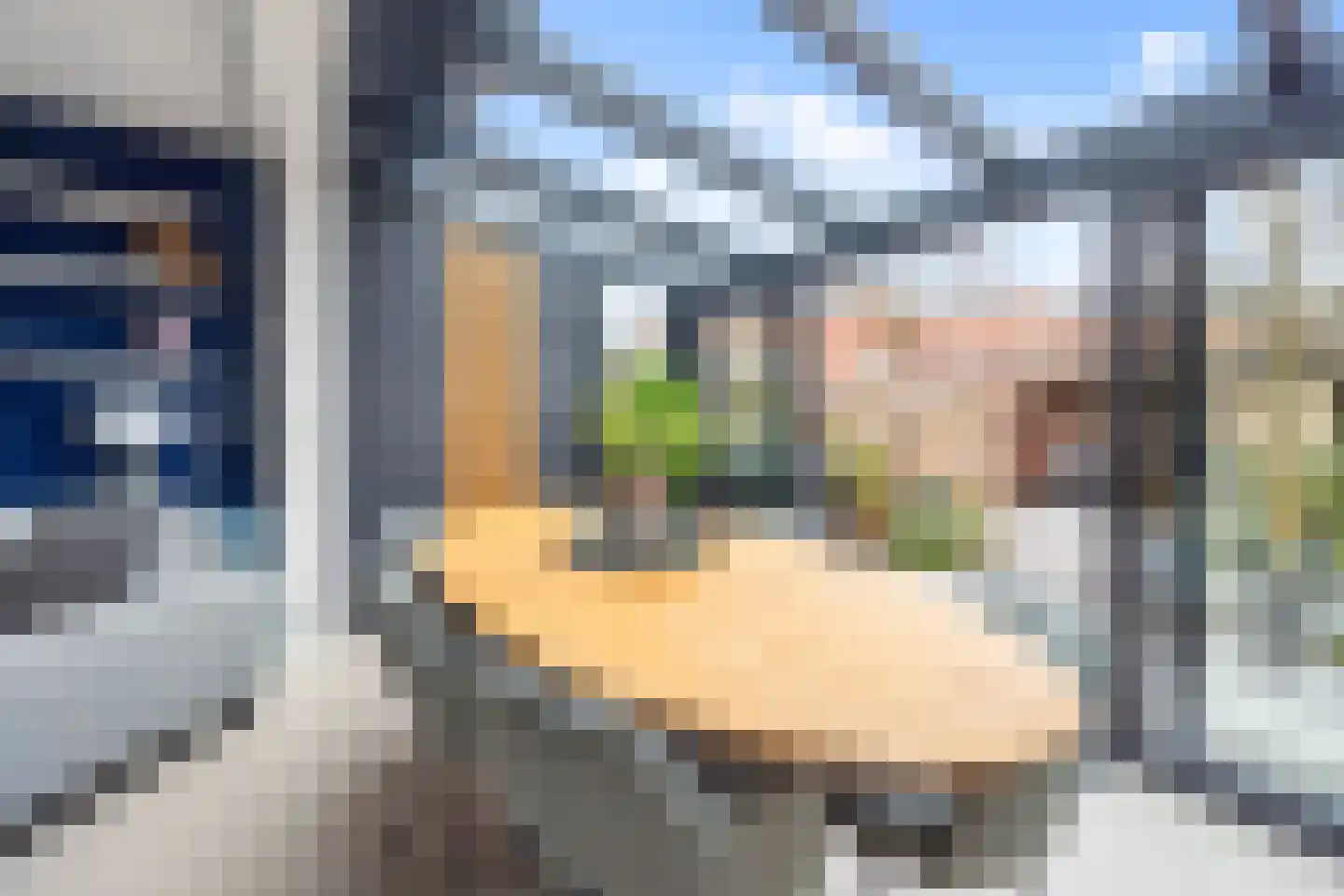 van Ostade 13 Monster thumbnail 17