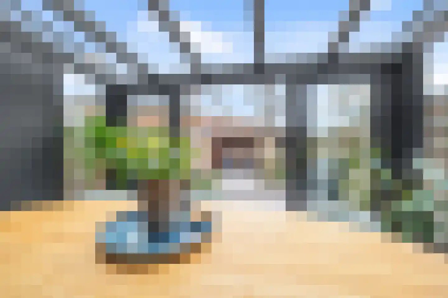 van Ostade 13 Monster thumbnail 18