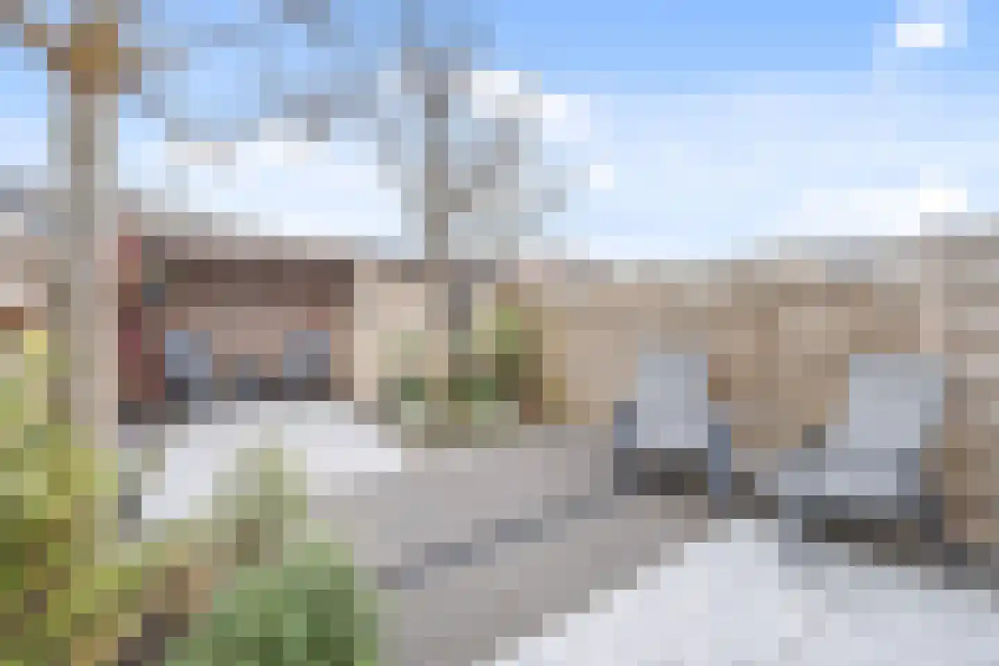 van Ostade 13 Monster thumbnail 21