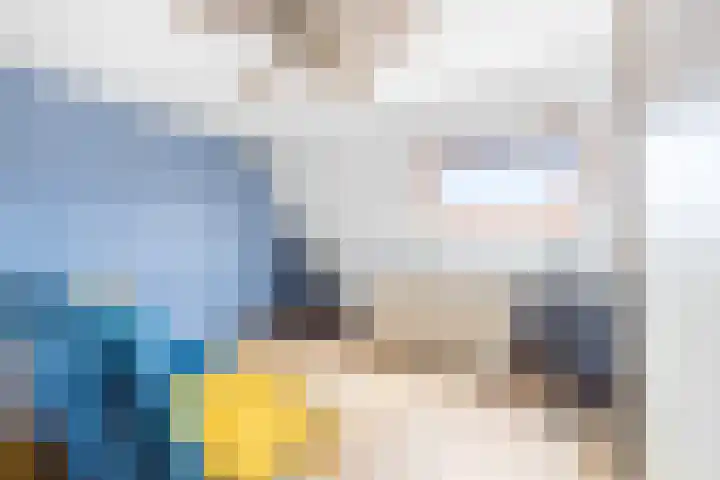 van Ostade 13 Monster thumbnail 22