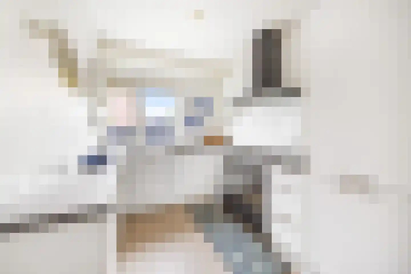 van Ostade 13 Monster thumbnail 4