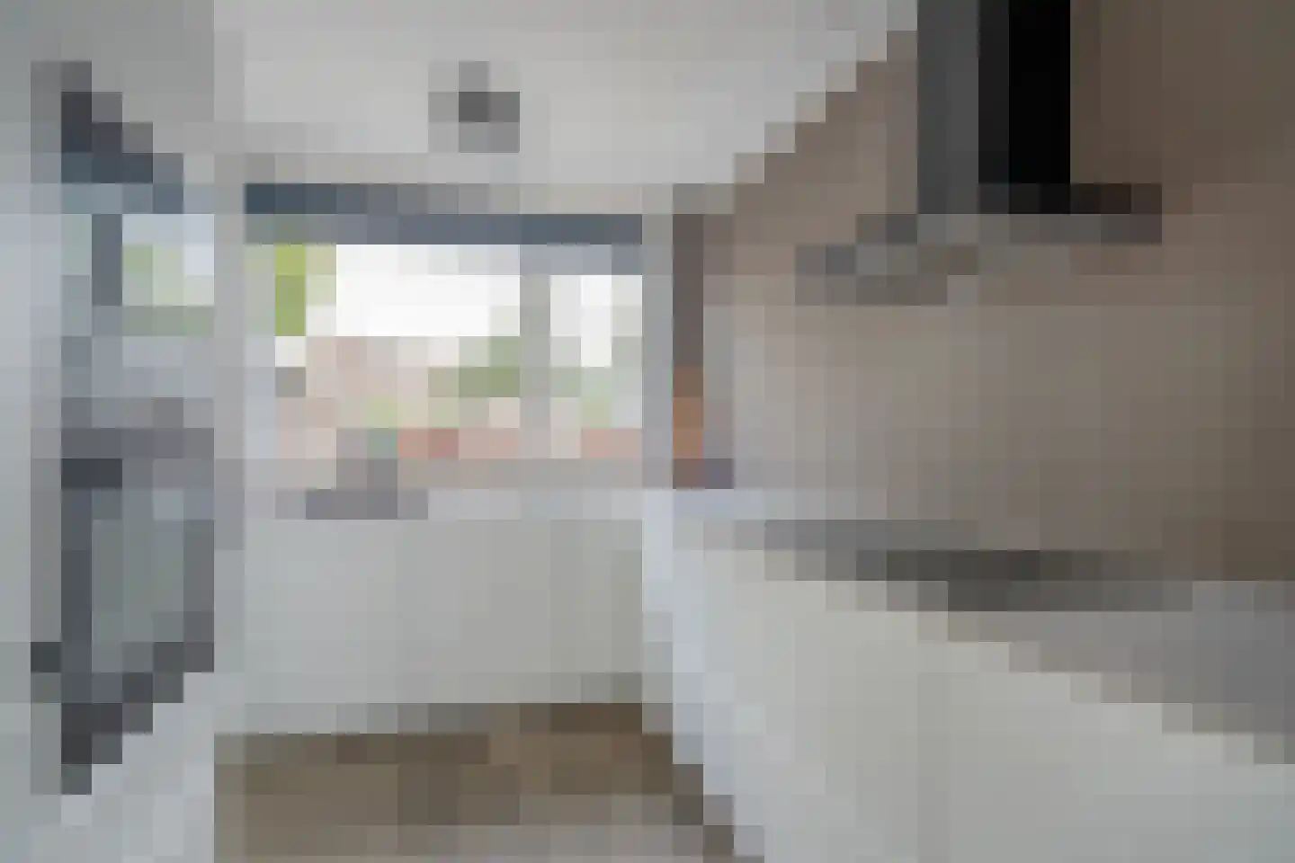 van Ostade 3 Monster thumbnail 12