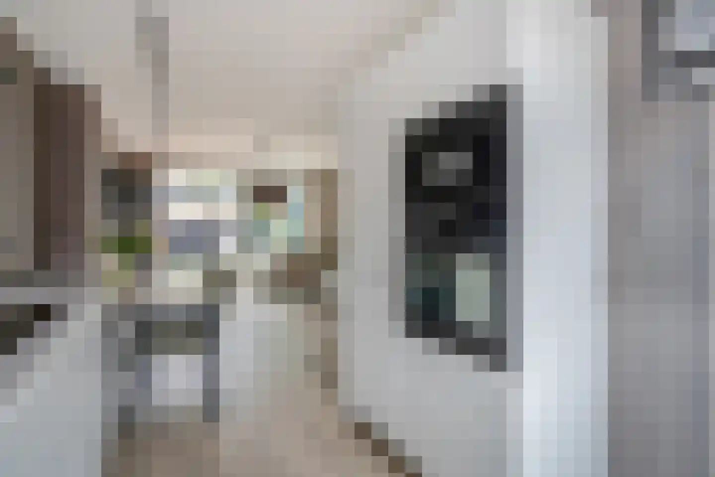van Ostade 3 Monster thumbnail 14