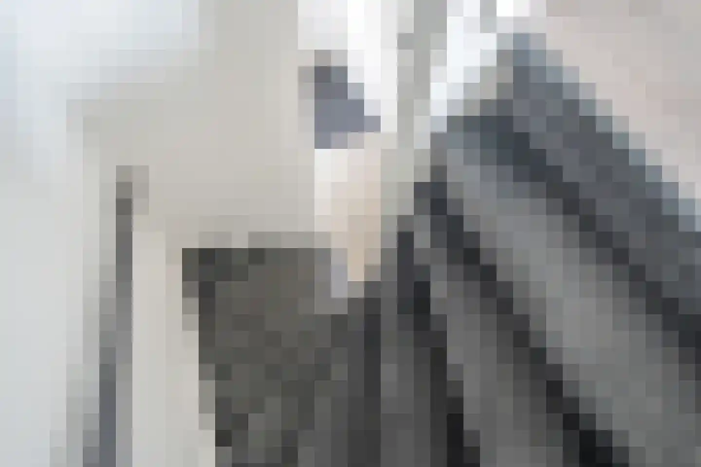 van Ostade 3 Monster thumbnail 16