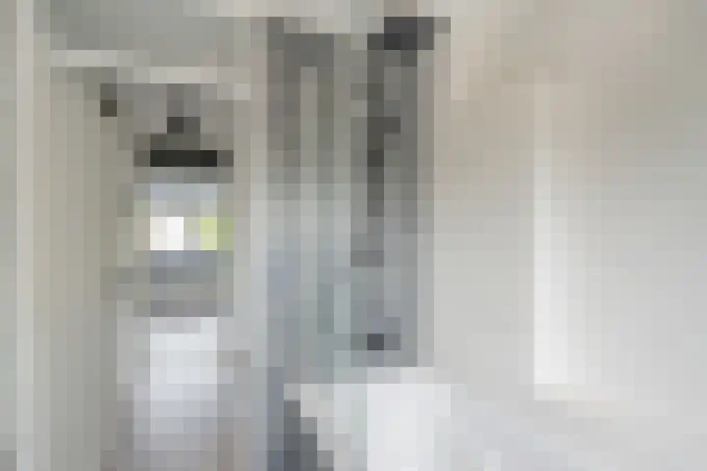 van Ostade 3 Monster thumbnail 18