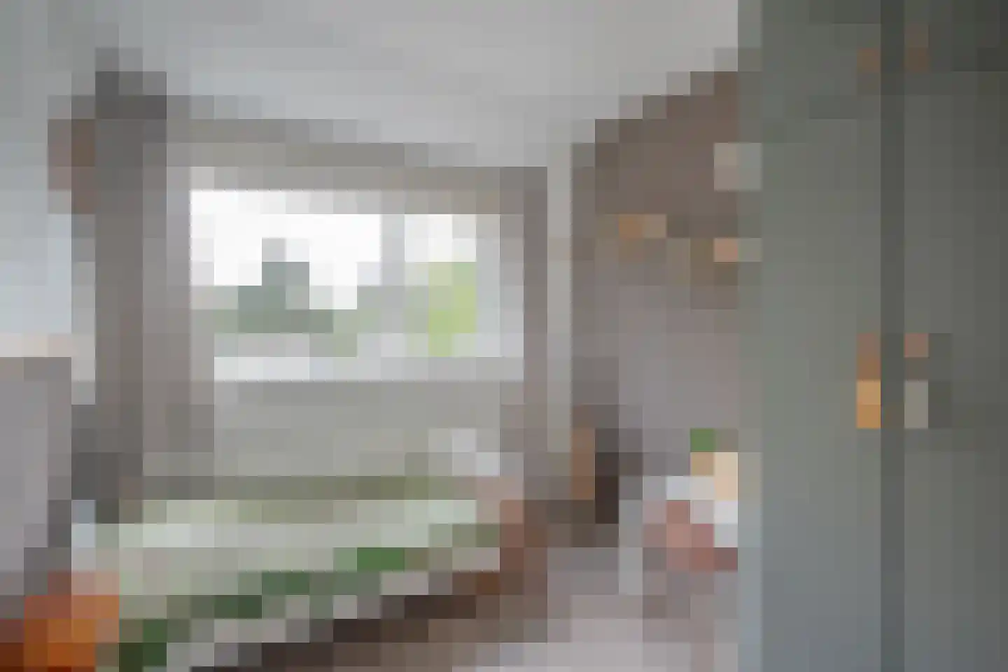 van Ostade 3 Monster thumbnail 20