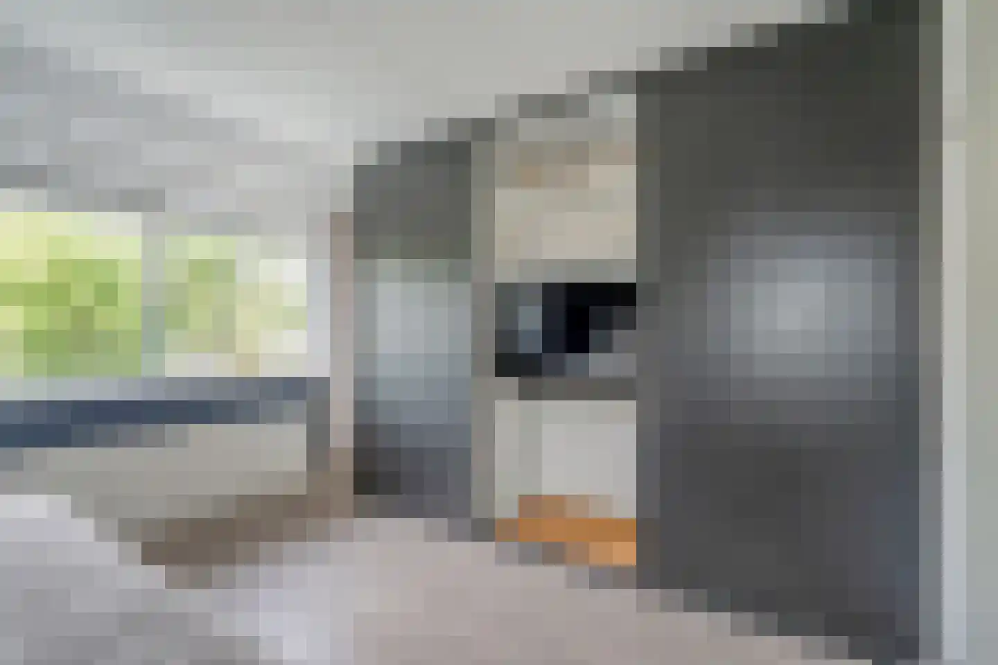 van Ostade 3 Monster thumbnail 23