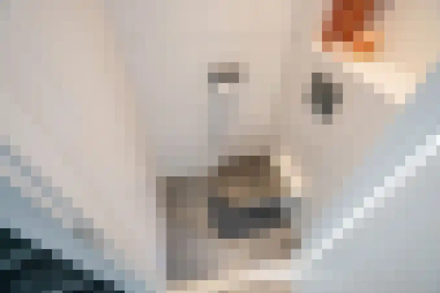 van Ostade 3 Monster thumbnail 5