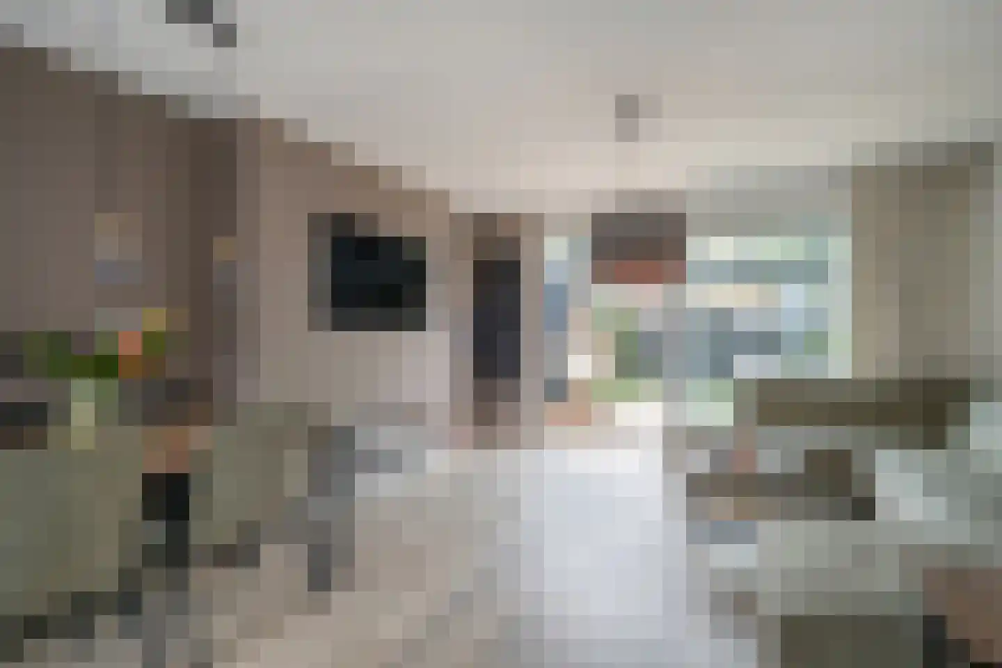 van Ostade 3 Monster thumbnail 6