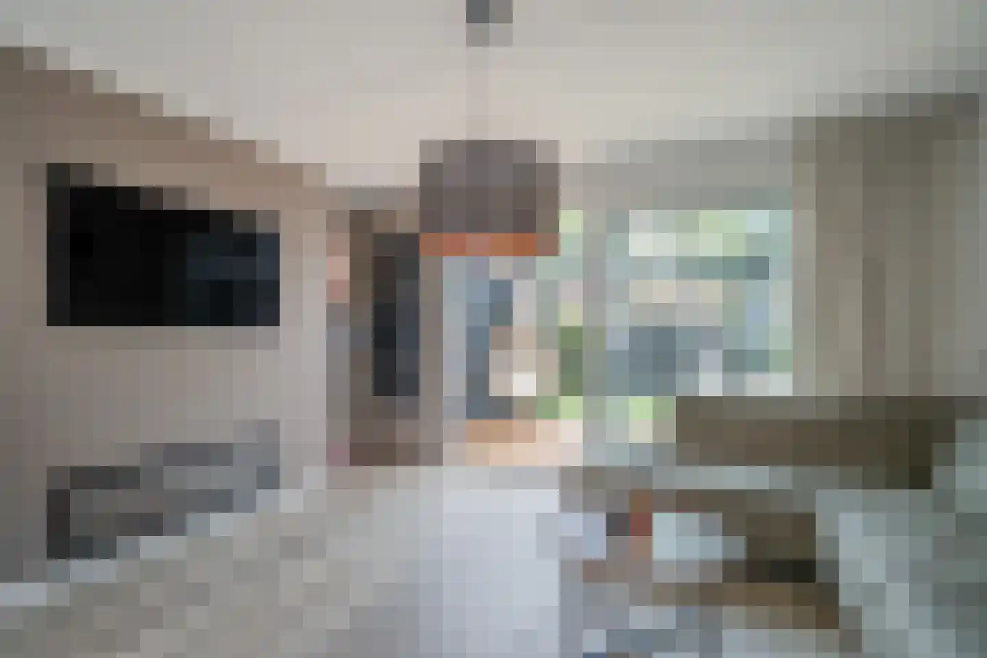 van Ostade 3 Monster thumbnail 8