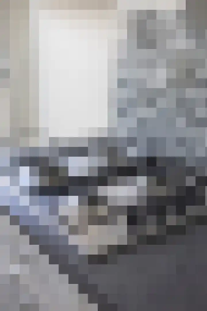 Van Ostadehof 27 Voorschoten thumbnail 12