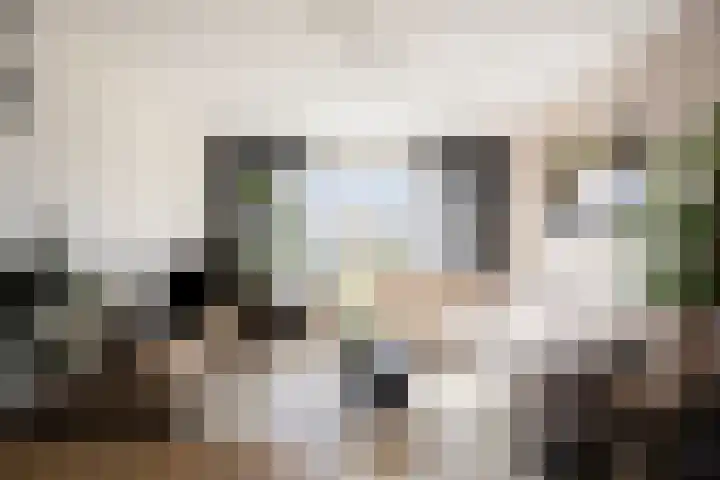 Van Ostadehof 27 Voorschoten thumbnail 16