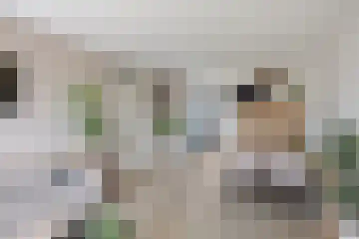 Van Ostadehof 27 Voorschoten thumbnail 18