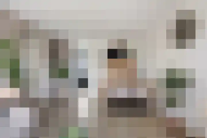 Van Ostadehof 27 Voorschoten thumbnail 19