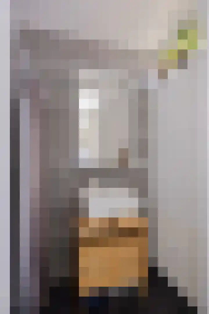 Van Ostadehof 27 Voorschoten thumbnail 24