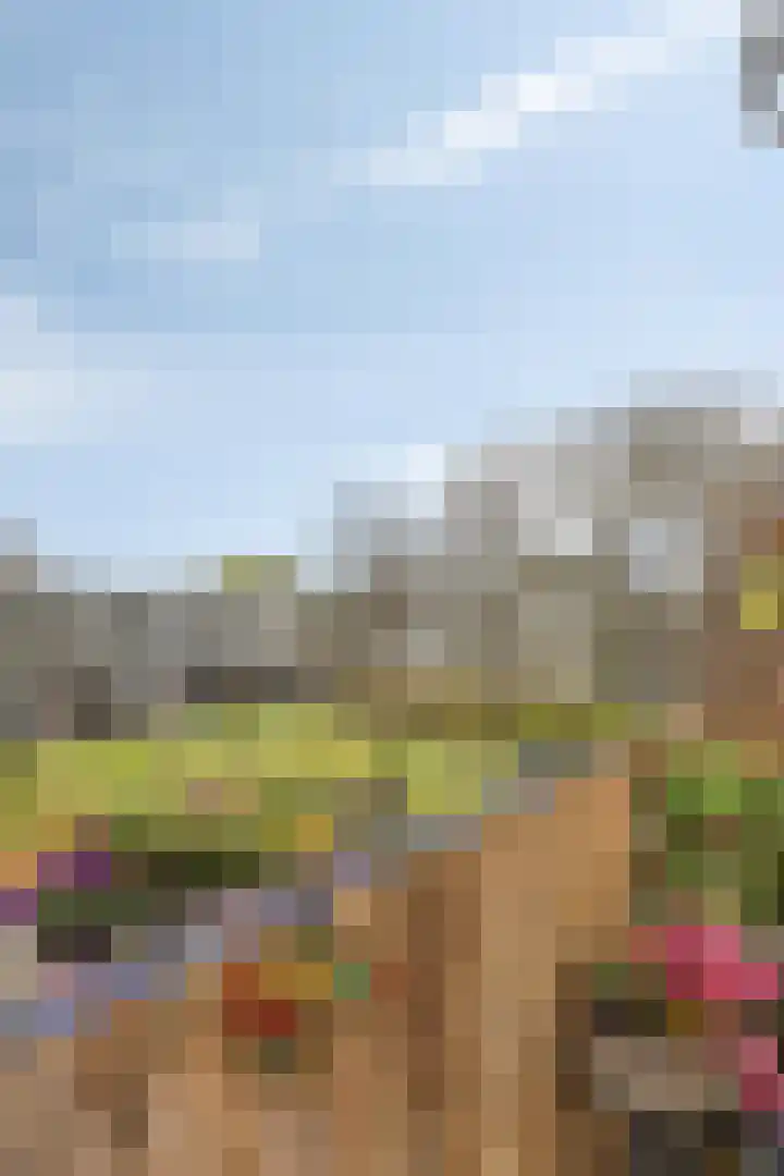 Van Ostadehof 27 Voorschoten thumbnail 41