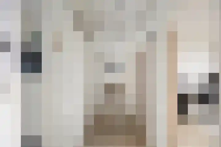 Van Ostadehof 27 Voorschoten thumbnail 9