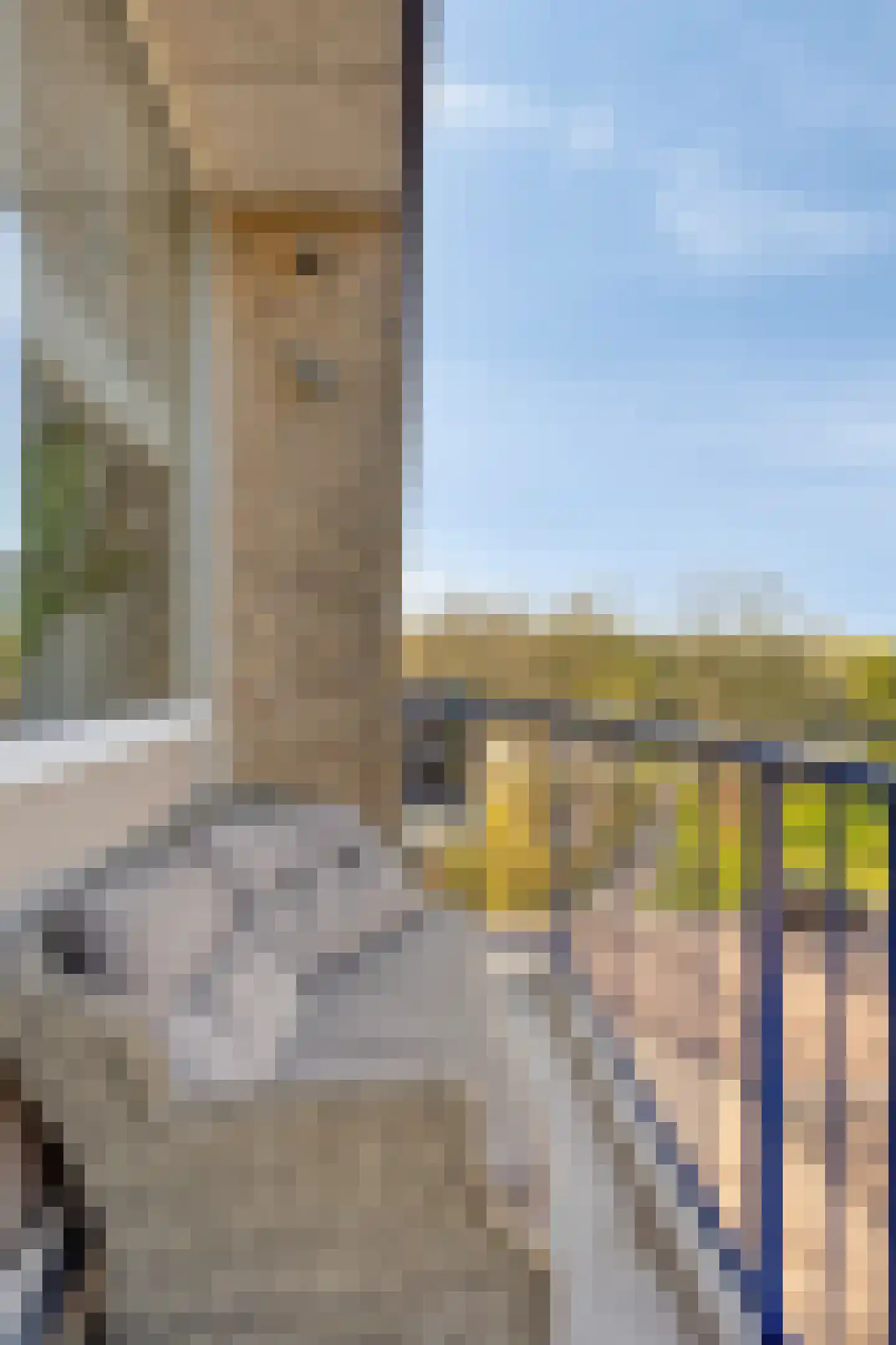 Van Ostadehof 35 Voorschoten thumbnail 34