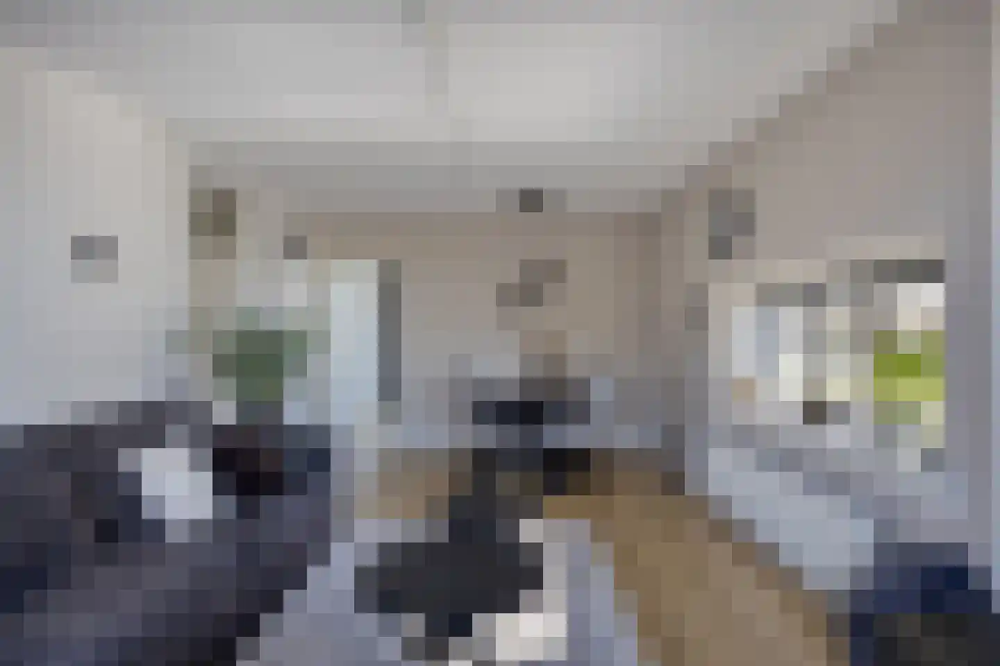 Van Ostadehof 39 Voorschoten thumbnail 16