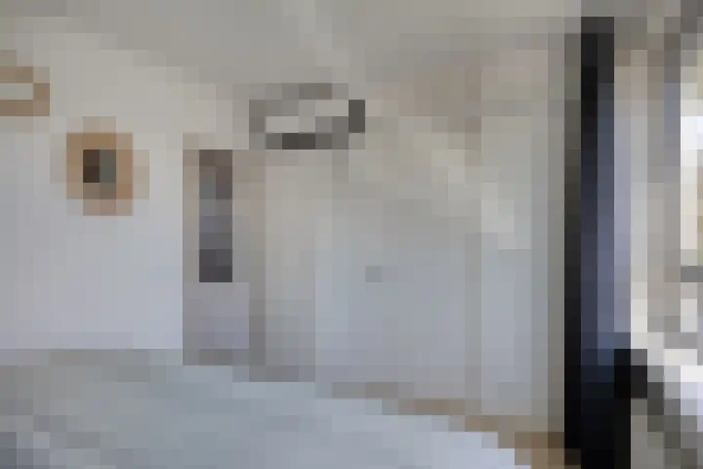 Van Ostadehof 39 Voorschoten thumbnail 21