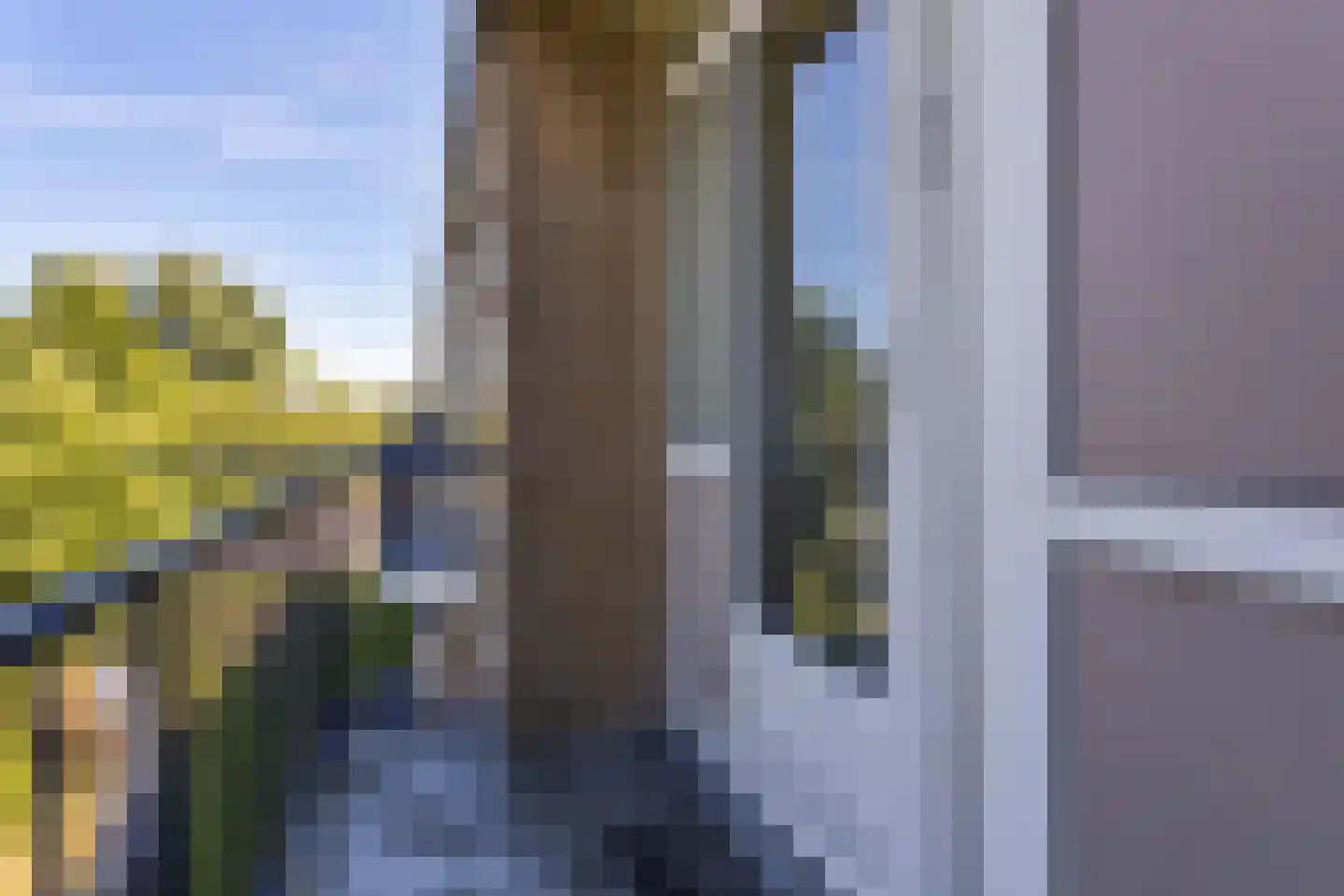 Van Ostadehof 7 Voorschoten thumbnail 23