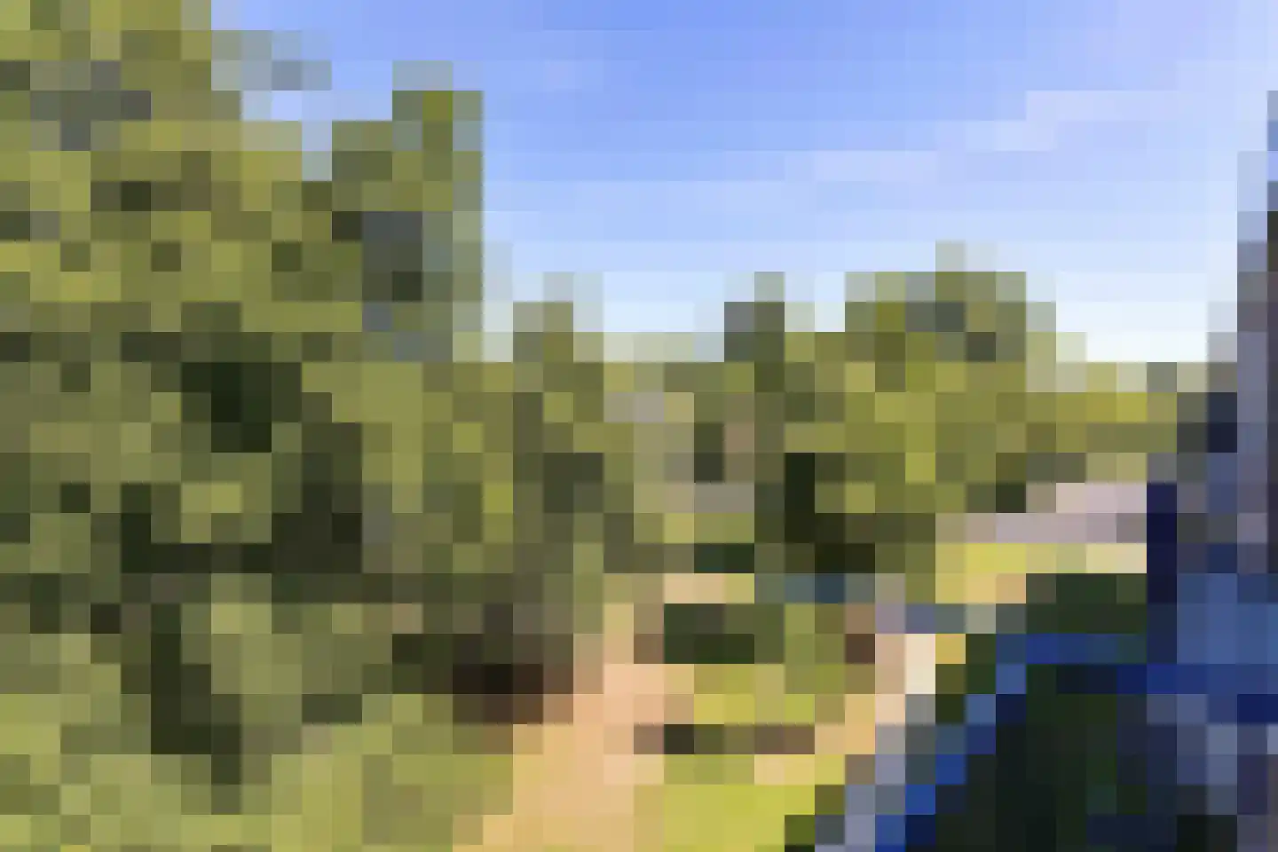 Van Ostadehof 7 Voorschoten thumbnail 24
