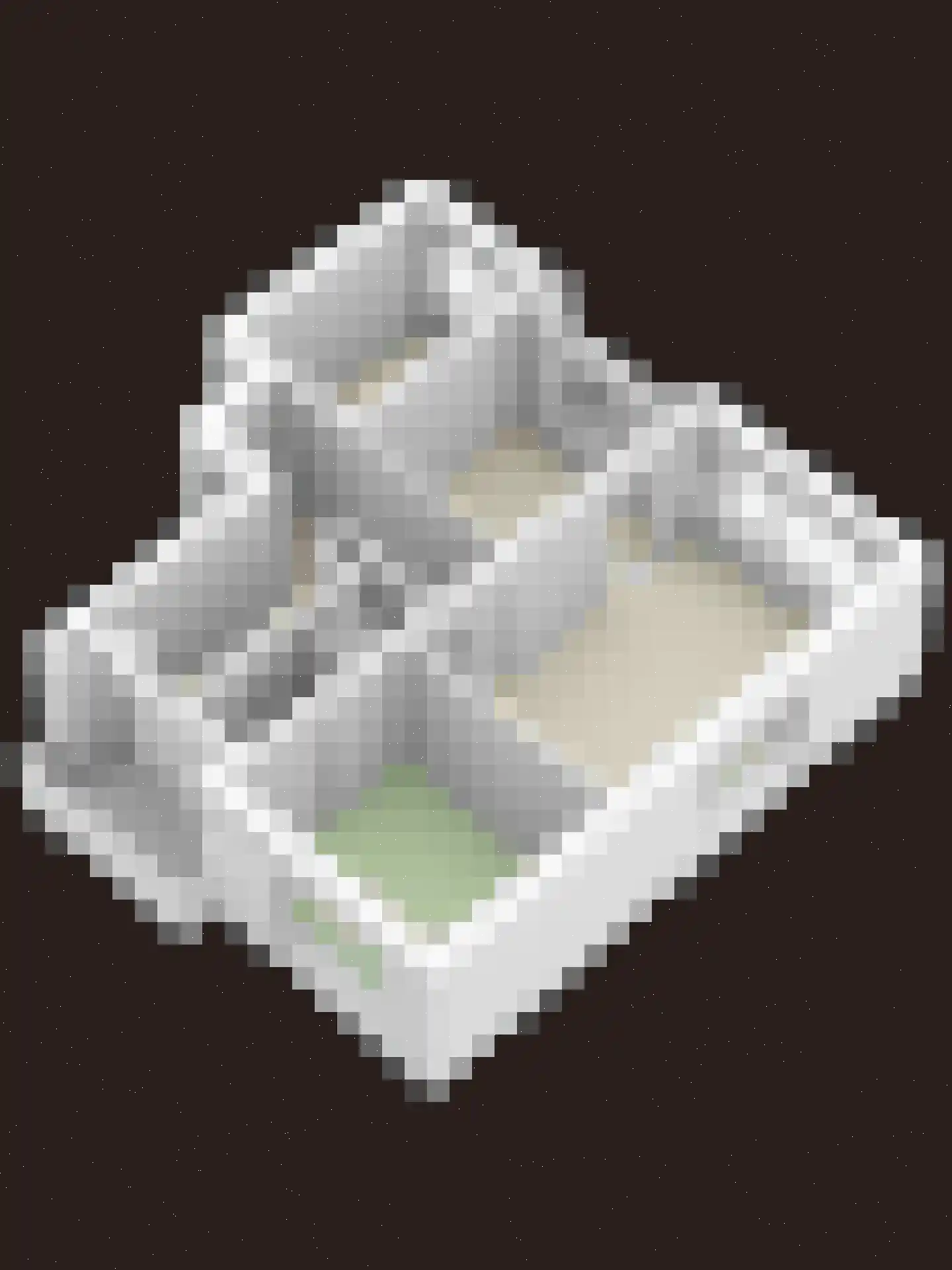 Van Ostadehof 7 Voorschoten thumbnail 34