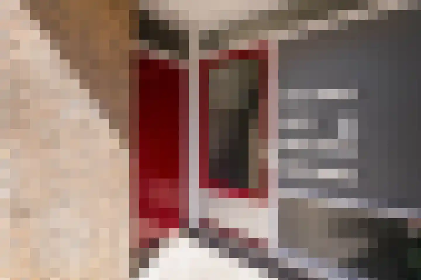 Van Ostadehof 7 Voorschoten thumbnail 5