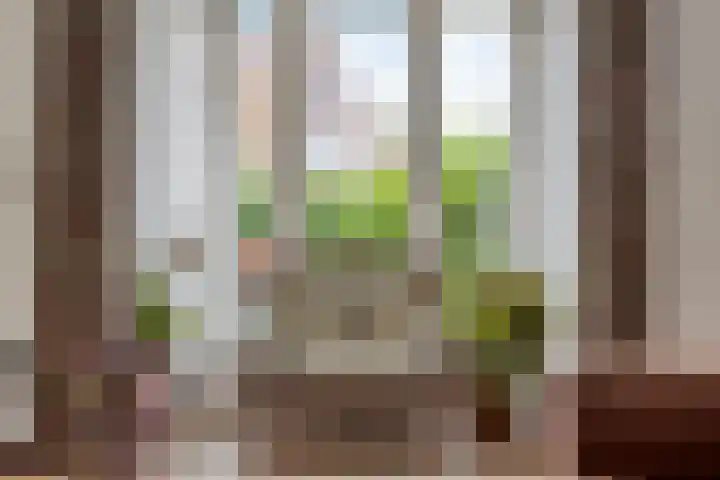 Van Ostadelaan 10 A Hilversum thumbnail 10