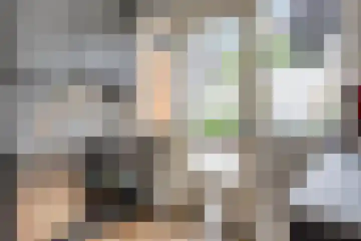 Van Ostadelaan 10 A Hilversum thumbnail 12